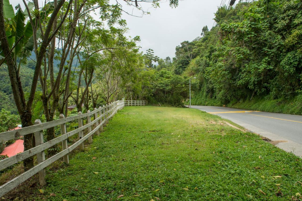Hacienda Charrascal Coffe Farm Apartment Manizales Luaran gambar